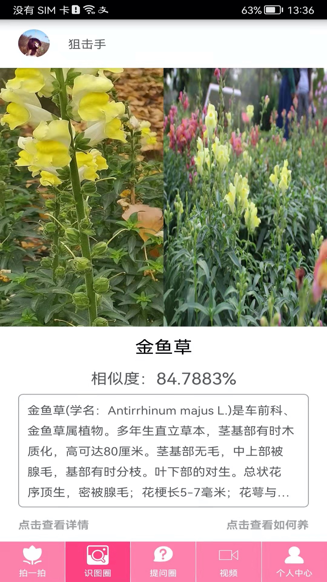 拍照識物截圖預(yù)覽