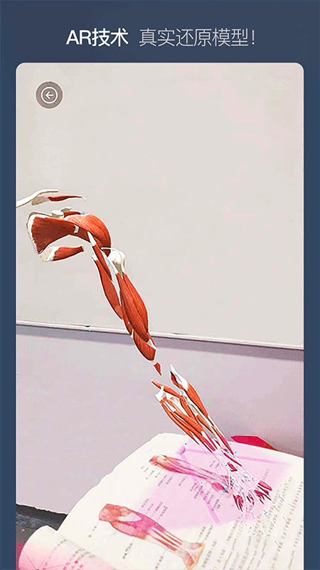 維薩里3D解剖截圖預(yù)覽