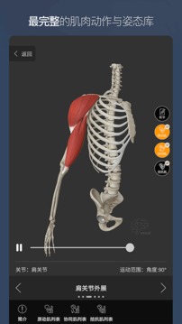 维萨里3D解剖截图
