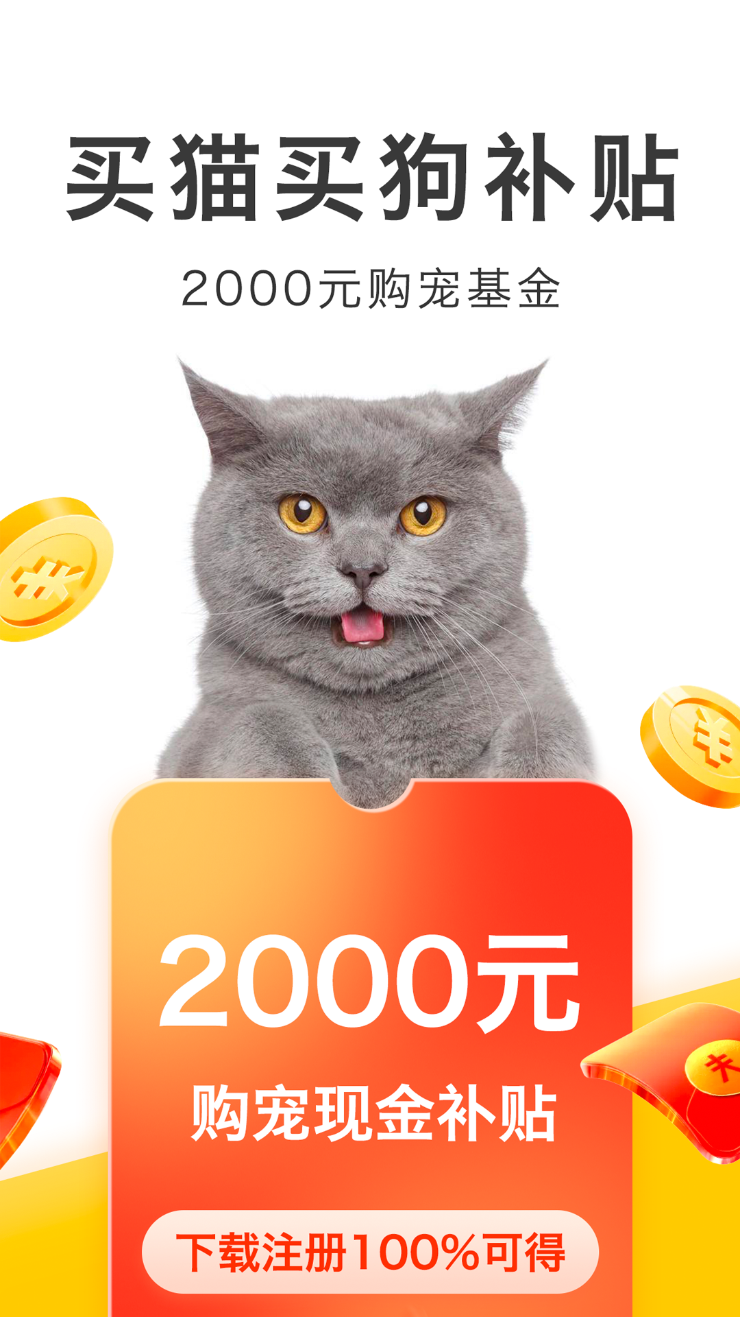 買只寵物截圖預(yù)覽