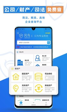 风鸟截图