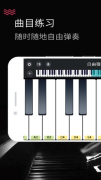 模拟钢琴应用截图5