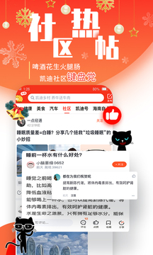凱迪網(wǎng)截圖