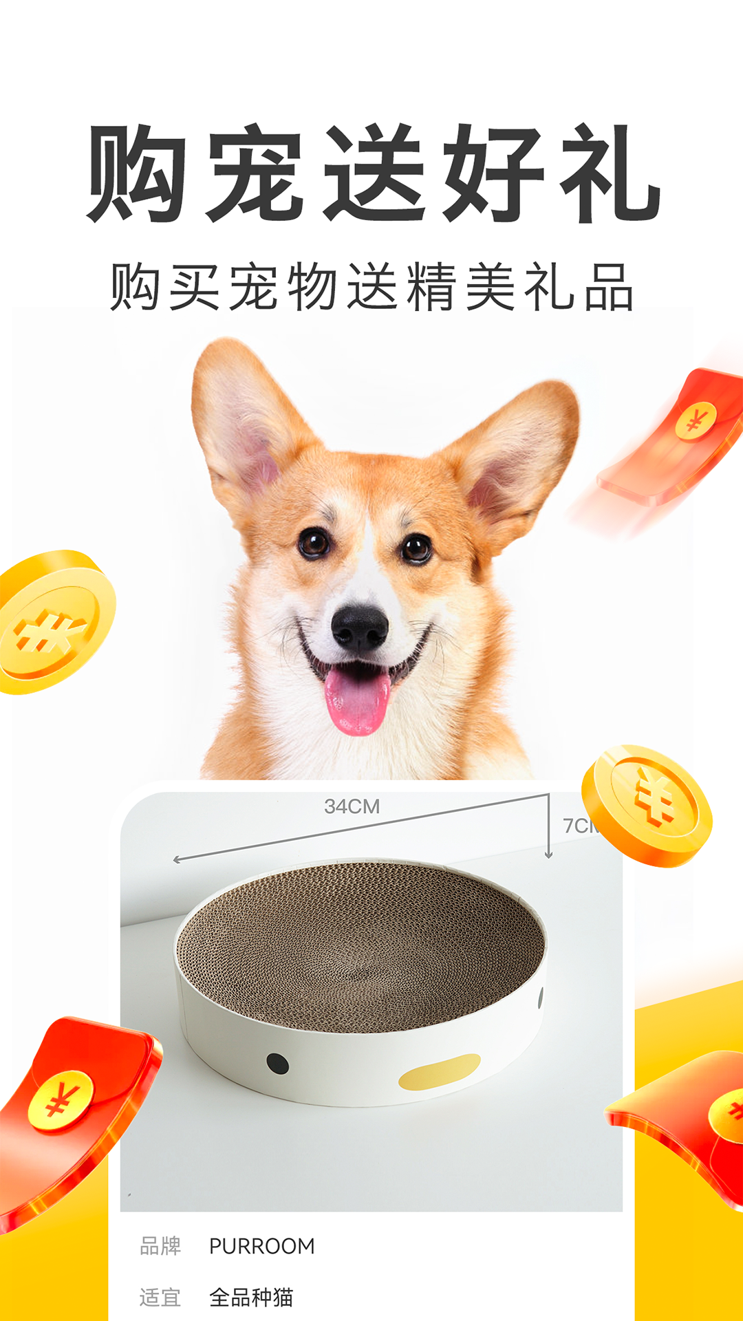 買只寵物截圖預(yù)覽