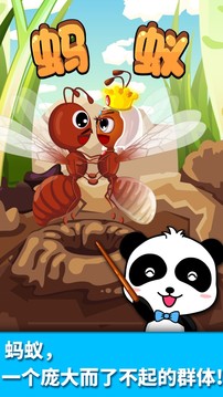寶寶認螞蟻截圖