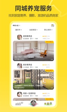 句苗岛截图