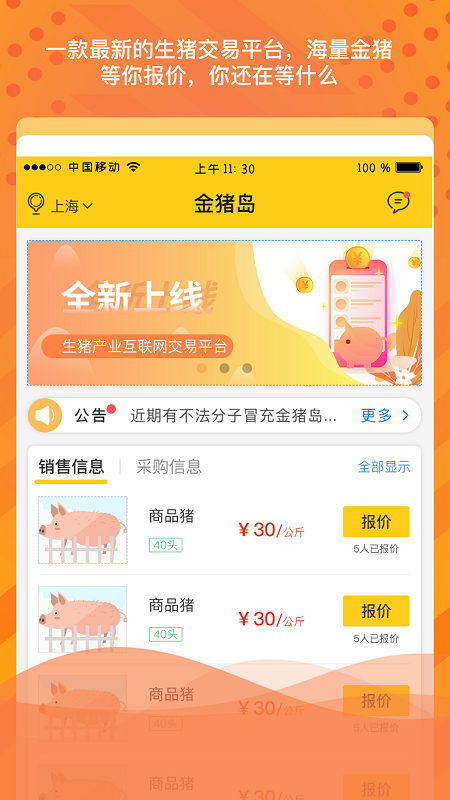 金猪岛截图1