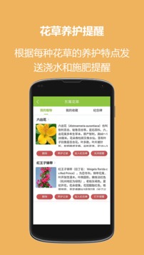 东篱花草截图