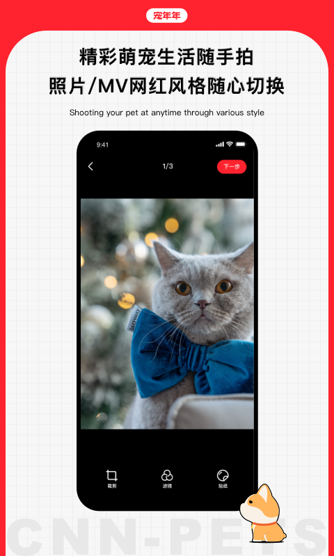 宠年年v1.0.4截图1