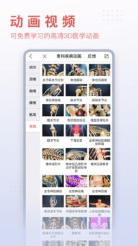 3Dbody解剖截圖