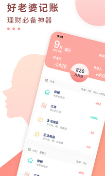 標(biāo)準(zhǔn)記賬截圖
