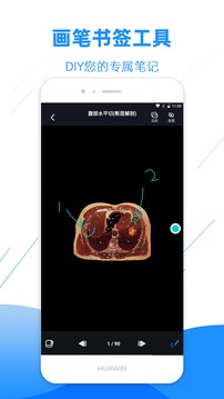 影像解剖圖譜截圖