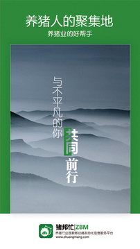 豬邦忙截圖