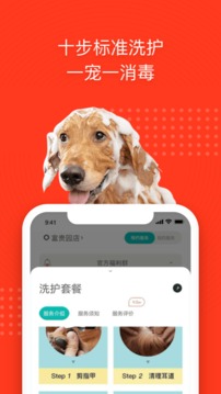 寵物家截圖