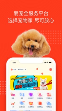 寵物家截圖