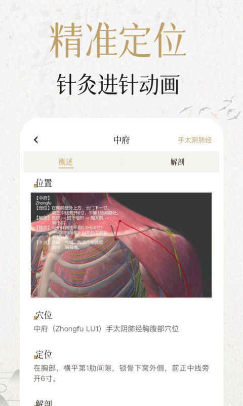 中济经络穴位v2.6.7截图3