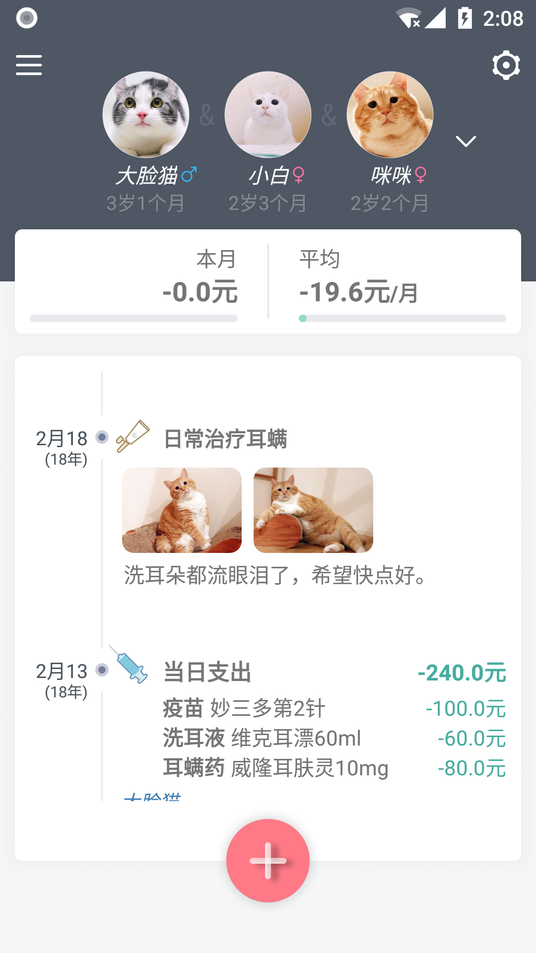 貓咪成長記截圖預(yù)覽