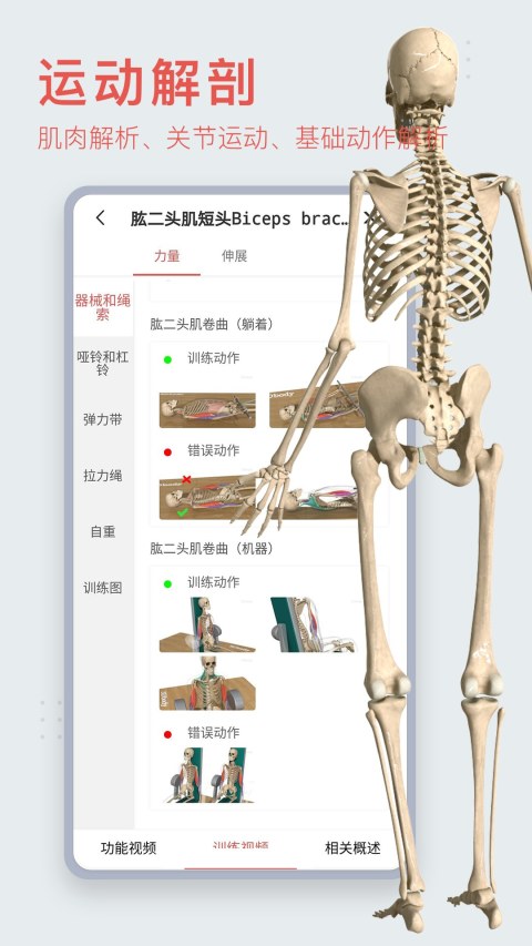 3Dbody解剖截圖預(yù)覽