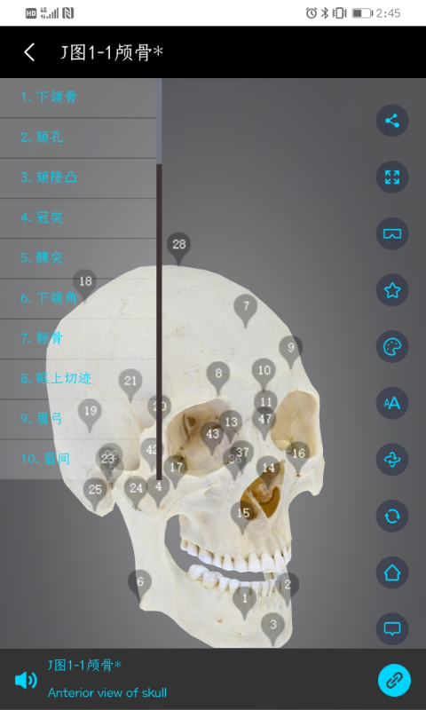 医维度人体解剖v2.4.5截图2