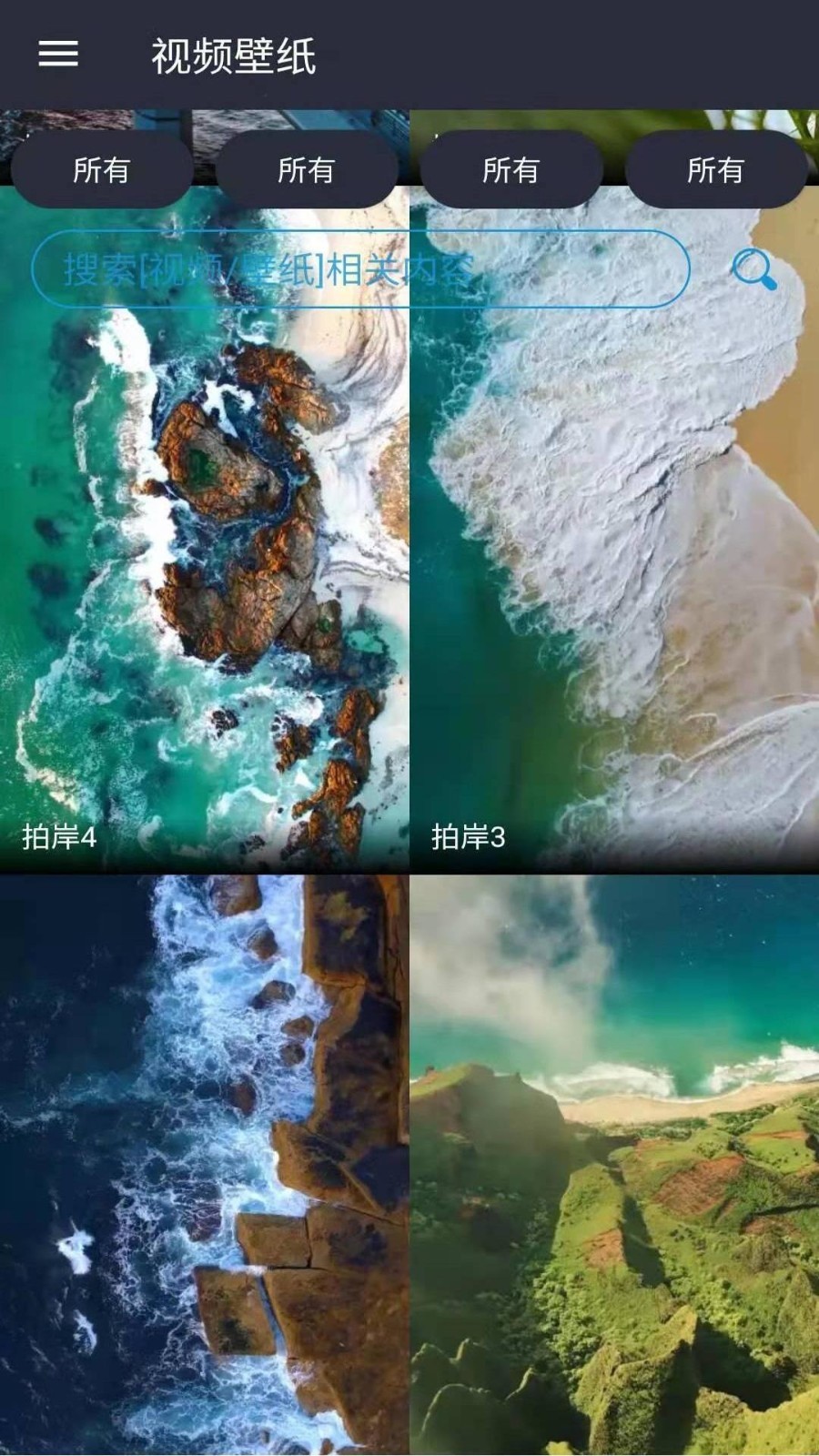 視頻壁紙截圖預(yù)覽