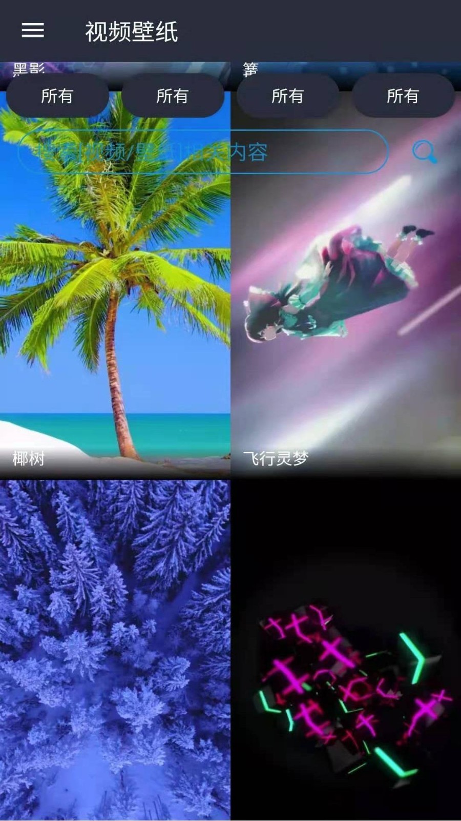 視頻壁紙截圖預(yù)覽