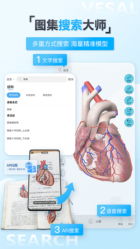 維薩里3D解剖截圖預覽