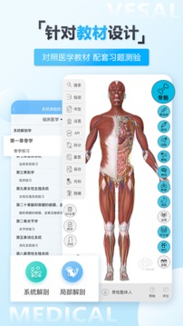 维萨里3D解剖截图