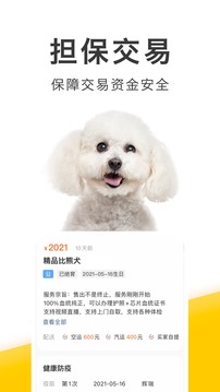 買(mǎi)只寵物截圖
