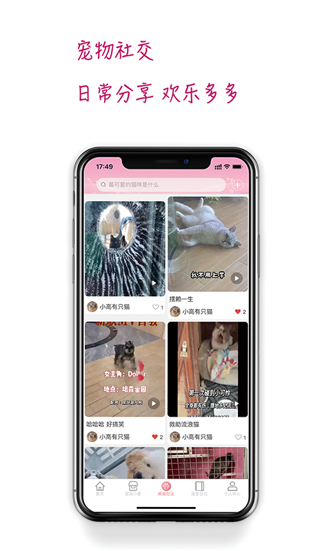 培森家園截圖預覽