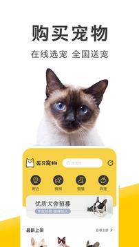 買(mǎi)只寵物截圖