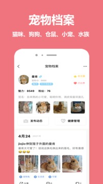 寵物王國(guó)截圖