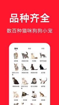 寵物寶截圖