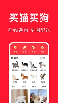 寵物寶截圖