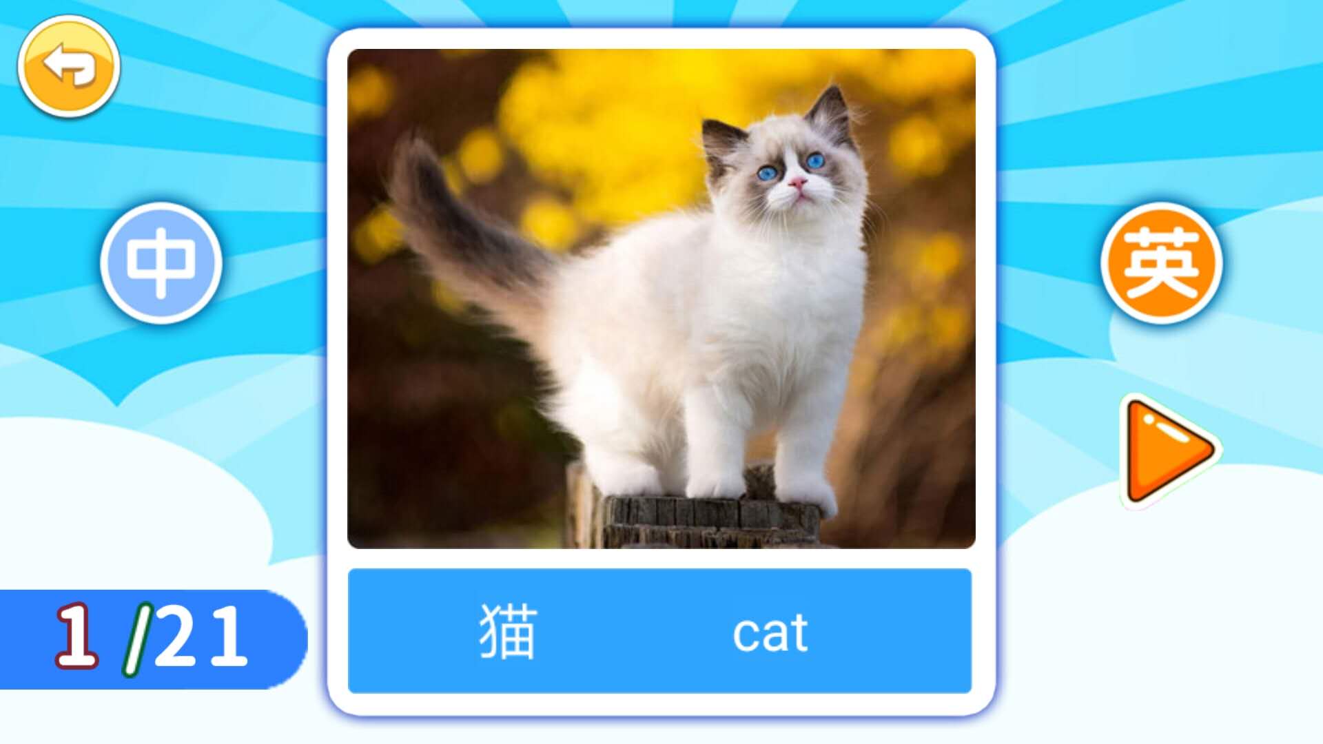 寶寶英語啟蒙截圖預(yù)覽