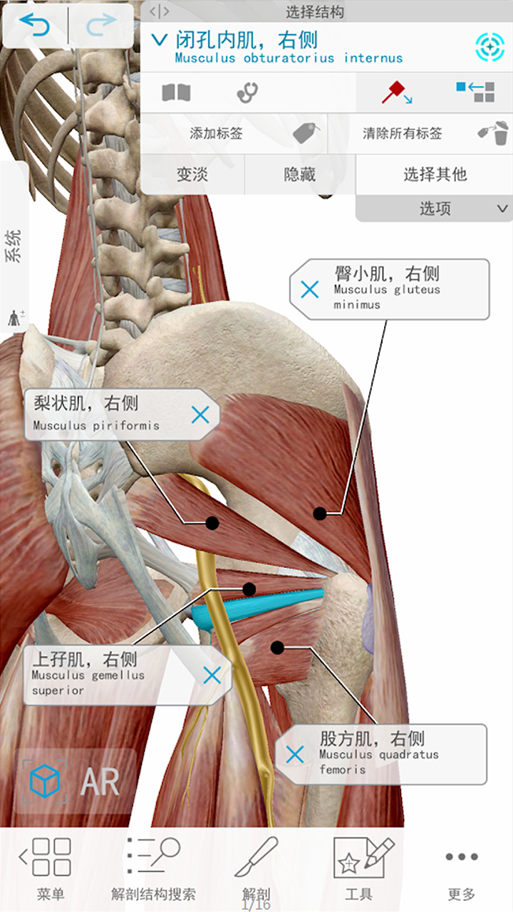 3D人体解剖v4截图4