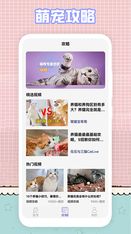 我的猫咪截图3