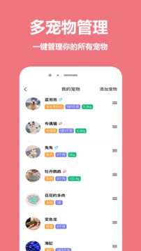 寵物王國截圖
