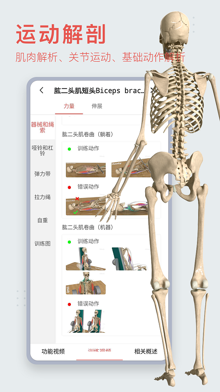 3Dbody解剖截圖預(yù)覽