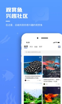 鯤天下截圖