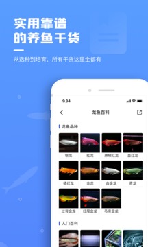 鯤天下截圖
