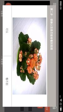 掌上看家采集端OTG版截圖