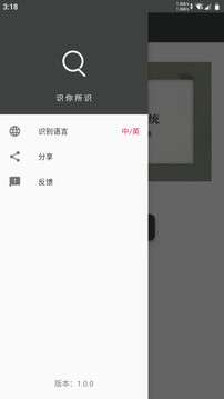 傳圖識字截圖