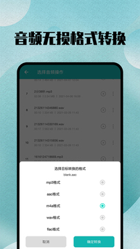 格式轉(zhuǎn)換大師截圖
