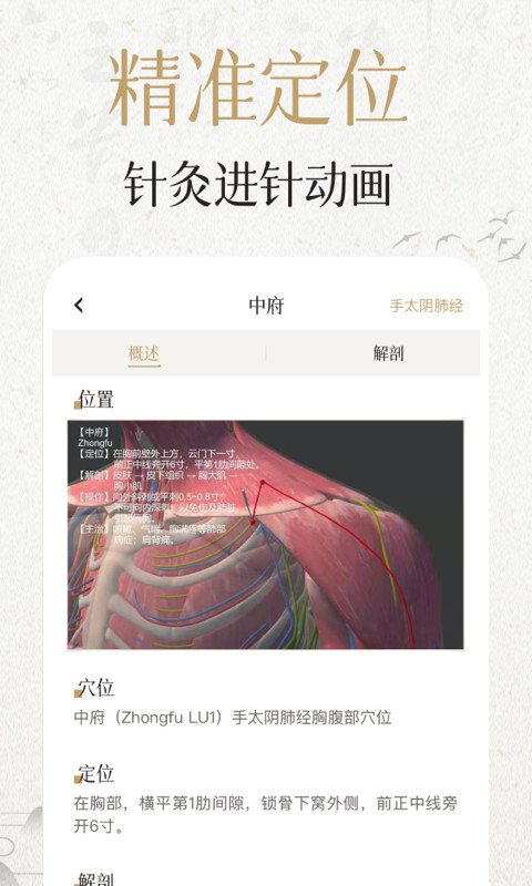 中濟經(jīng)絡穴位截圖預覽