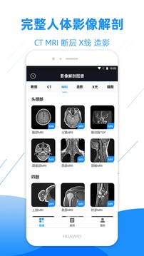影像解剖圖譜截圖