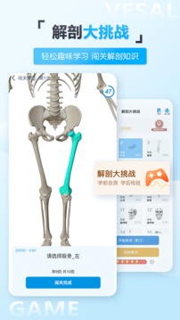维萨里3D解剖截图