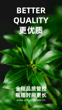 匠人花材应用截图3