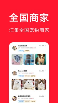 寵物寶截圖