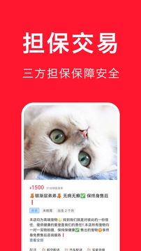 寵物寶截圖