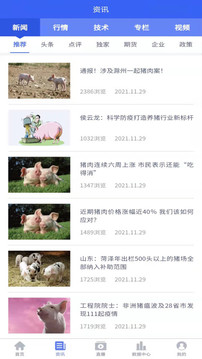 養(yǎng)豬寶截圖